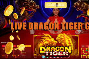 What is Dragon Tiger